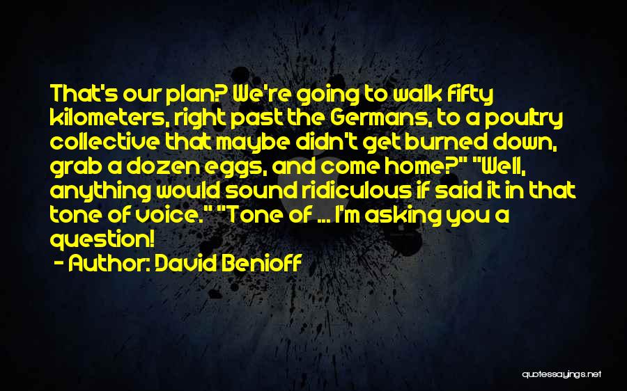 Fifty Fifty Quotes By David Benioff