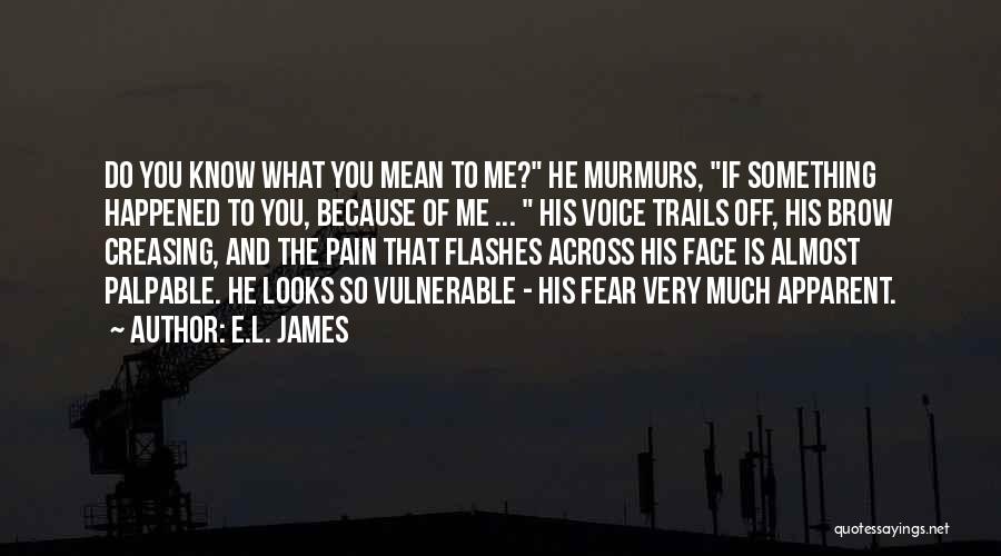 Fifty Shades Darker Quotes By E.L. James