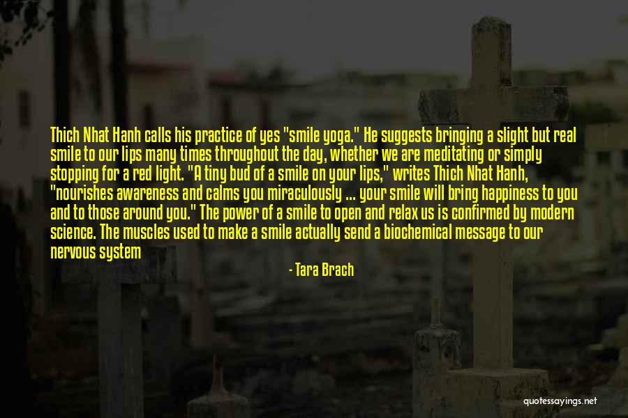 Fight Flight Freeze Quotes By Tara Brach Fight Flight Freeze Quotes By Tara Brach