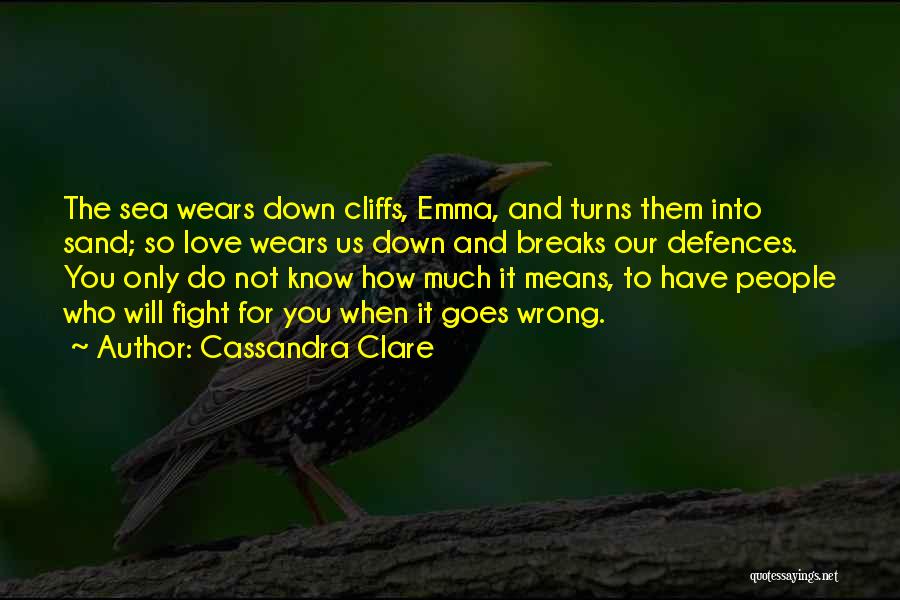 Fight For Our Love Quotes By Cassandra Clare