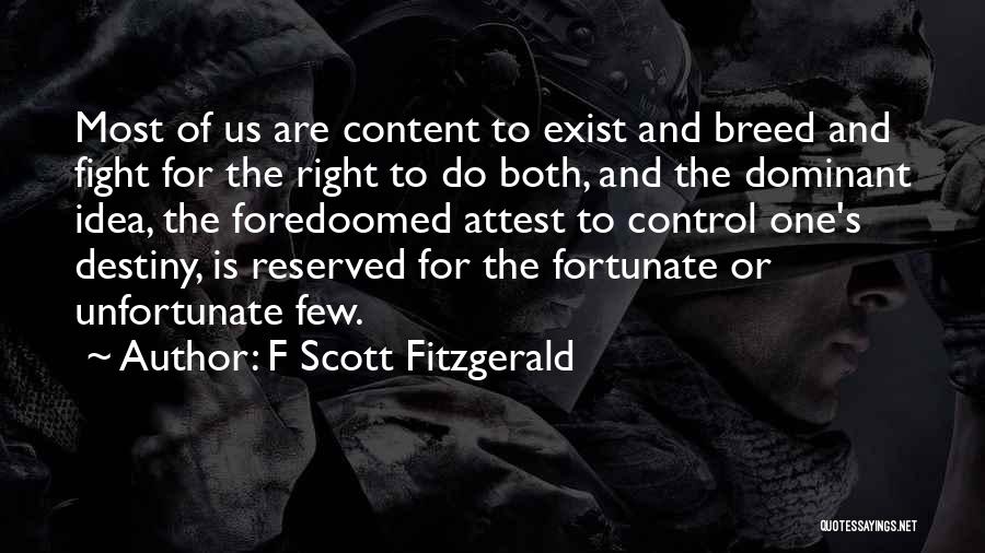 Fight For Right Quotes By F Scott Fitzgerald