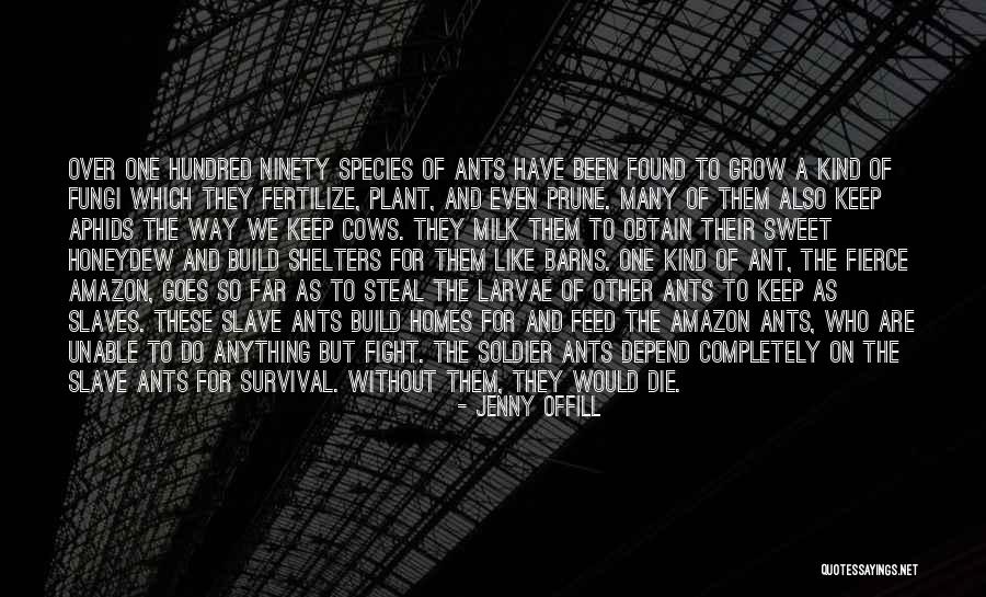 Fight For Survival Quotes By Jenny Offill Fight For Survival Quotes By Jenny Offill