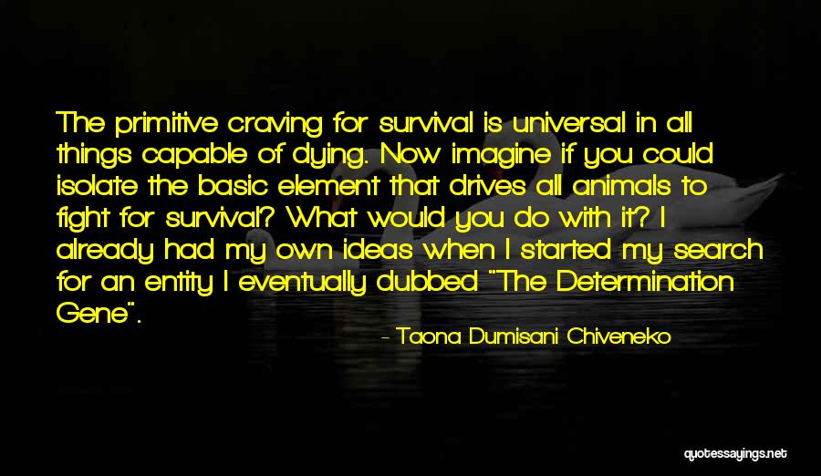 Fight For Survival Quotes By Taona Dumisani Chiveneko Fight For Survival Quotes By Taona Dumisani Chiveneko