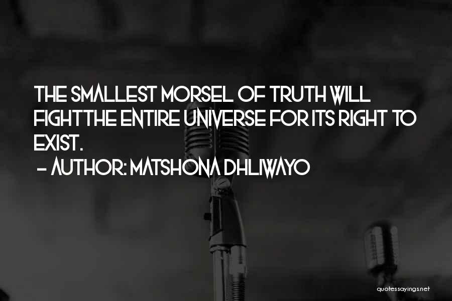 Fight For The Truth Quotes By Matshona Dhliwayo