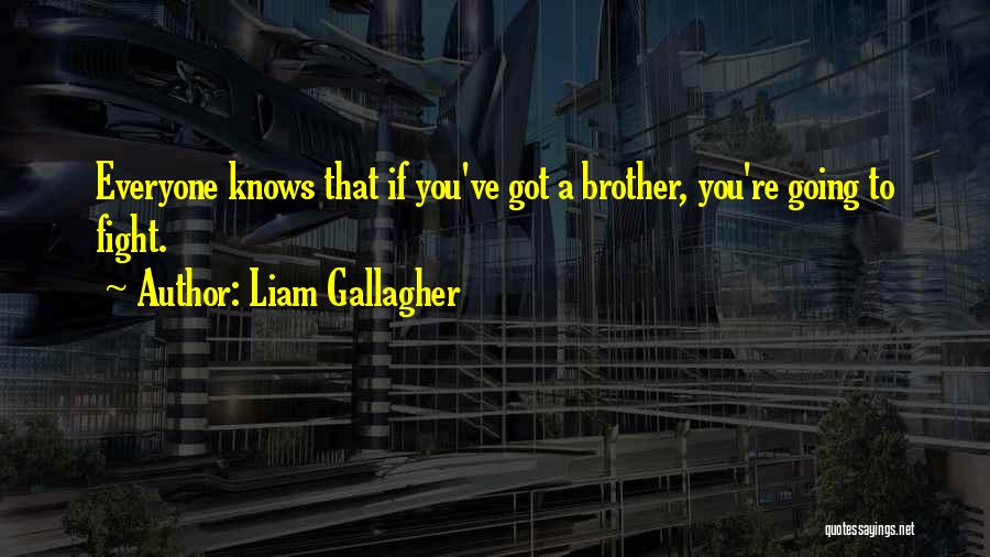 Fight For Your Brother Quotes By Liam Gallagher