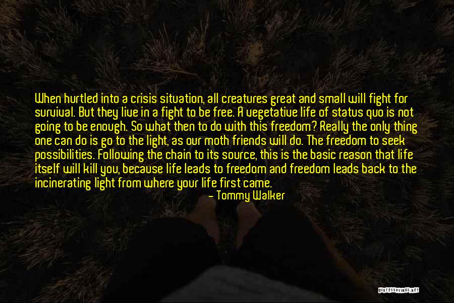 Fight For Your Friends Quotes By Tommy Walker