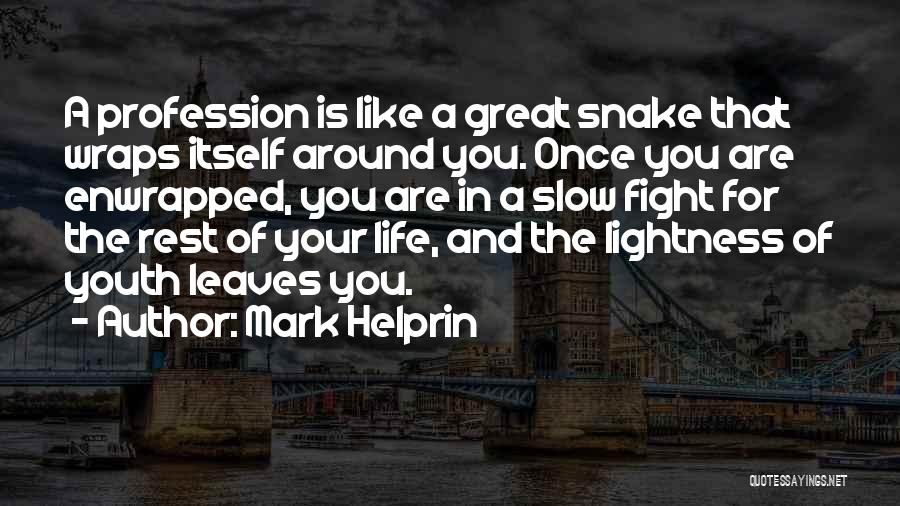 Fight For Your Life Quotes By Mark Helprin