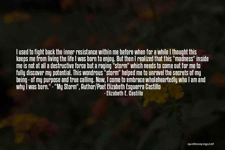Fight From The Inside Quotes By Elizabeth E. Castillo Fight From The Inside Quotes By Elizabeth E. Castillo