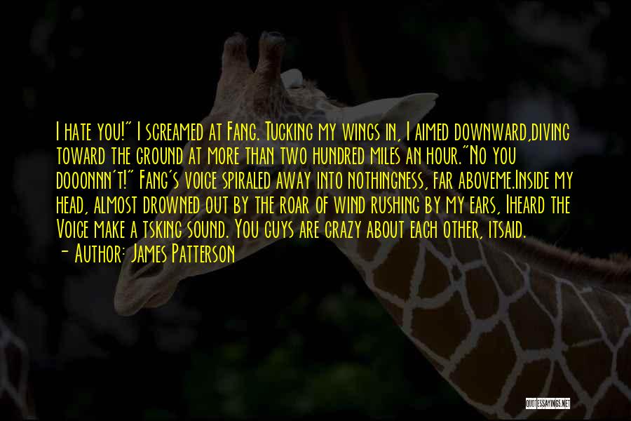 Fight Love Quotes By James Patterson