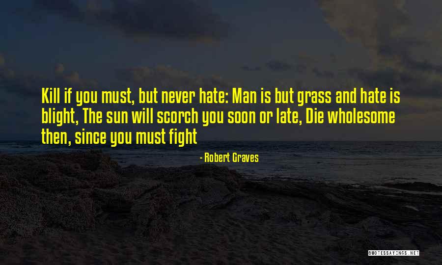 Fight Or Die Quotes By Robert Graves