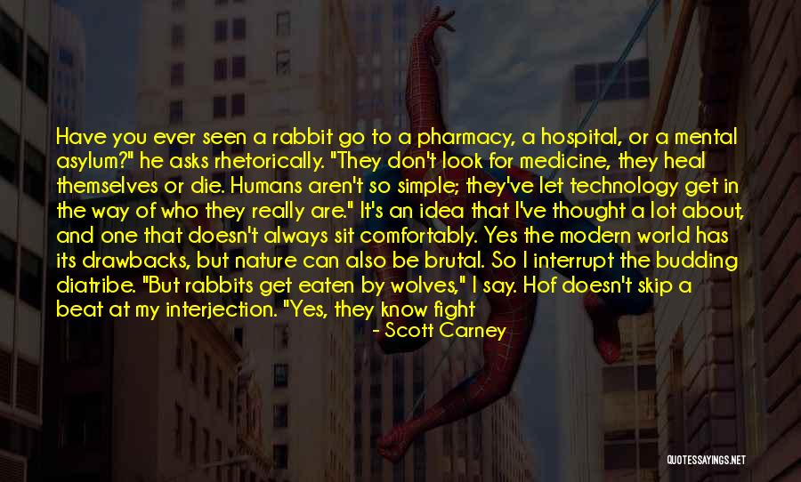 Fight Or Die Quotes By Scott Carney Fight Or Die Quotes By Scott Carney