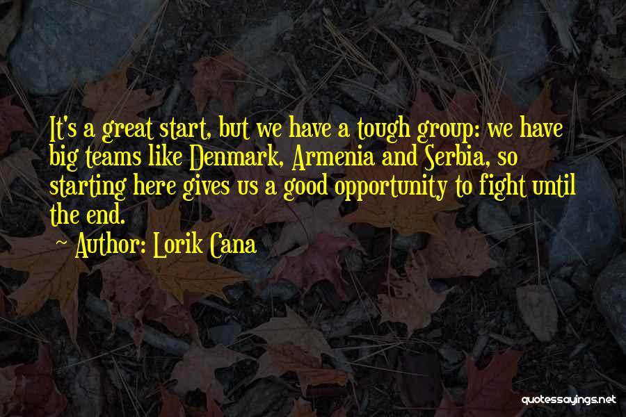 Fight To The End Quotes By Lorik Cana