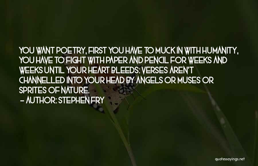 Fight Until Quotes By Stephen Fry