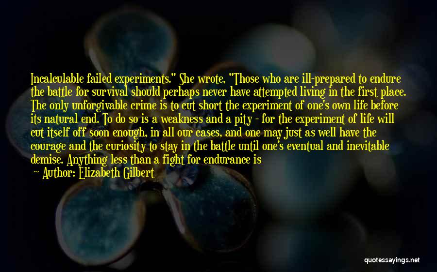 Fight Until The End Quotes By Elizabeth Gilbert