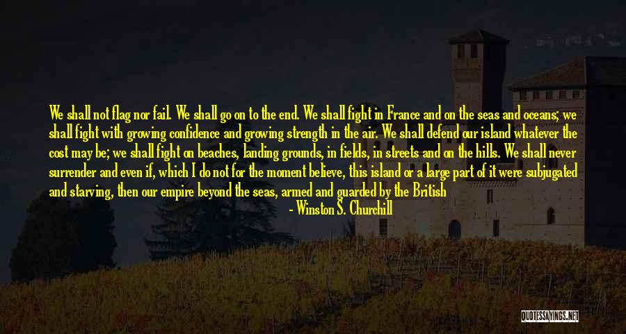 Fight Until The End Quotes By Winston S. Churchill