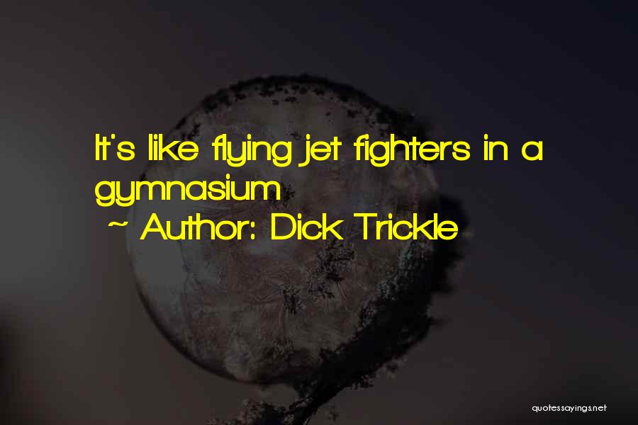 Fighter Jet Quotes By Dick Trickle