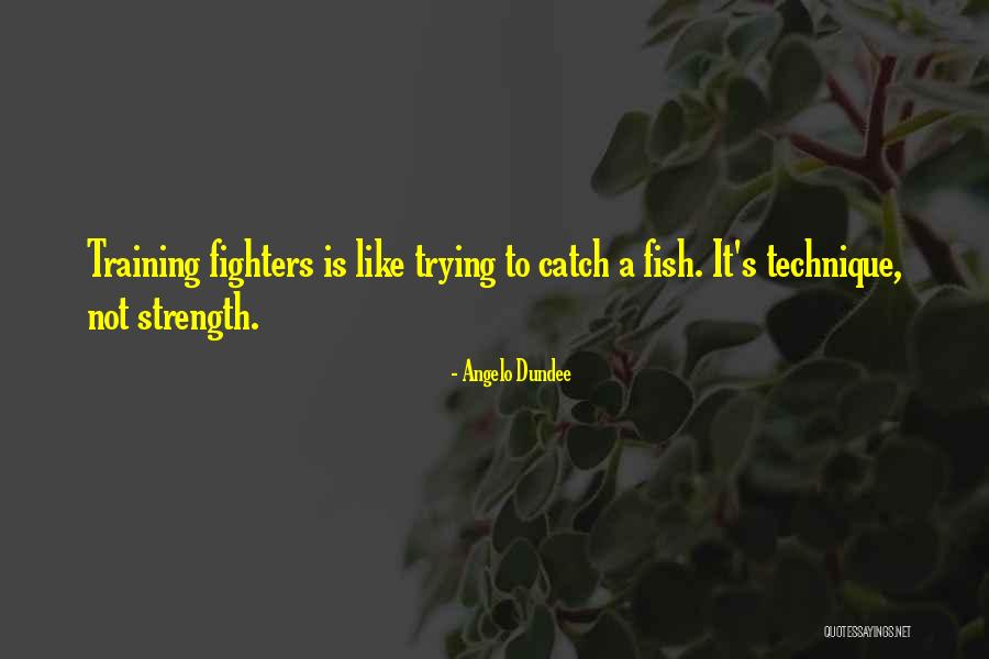 Fighters Quotes By Angelo Dundee