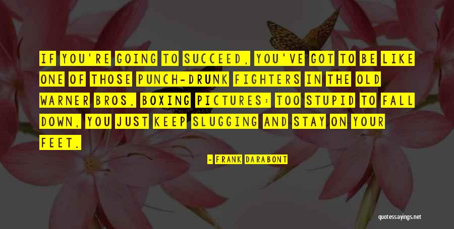 Fighters Quotes By Frank Darabont