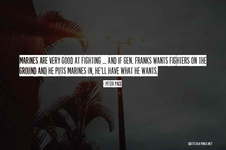 Fighters Quotes By Peter Pace