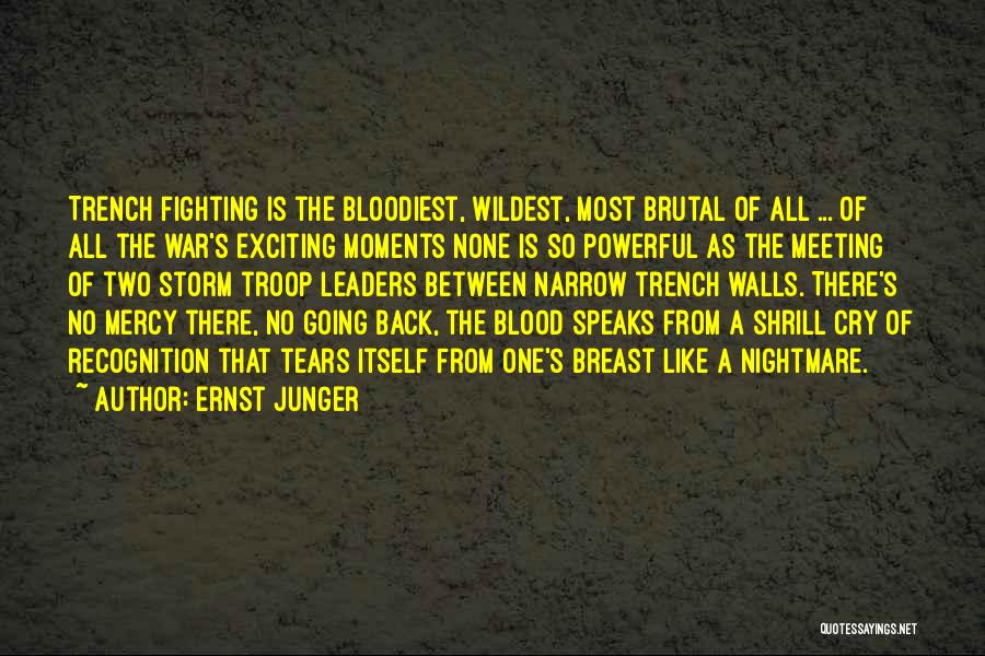 Fighting Back Tears Quotes By Ernst Junger