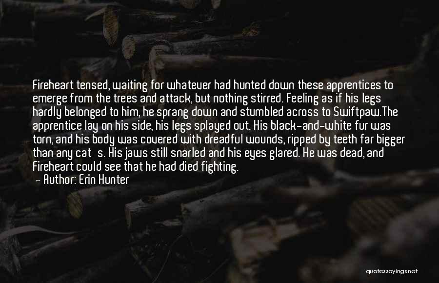 Fighting Death Quotes By Erin Hunter