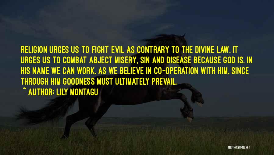 Fighting Evil With Evil Quotes By Lily Montagu