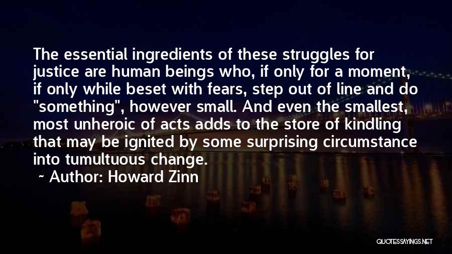 Fighting Fears Quotes By Howard Zinn