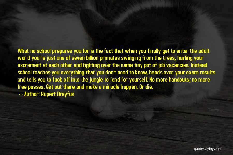 Fighting For Each Other Quotes By Rupert Dreyfus