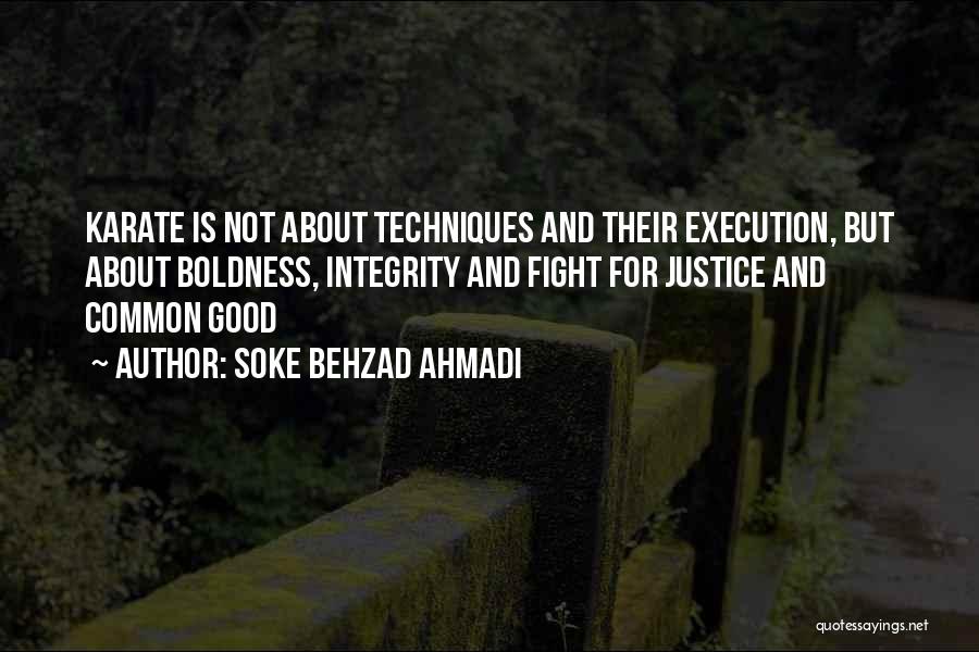 Fighting For Justice Quotes By Soke Behzad Ahmadi