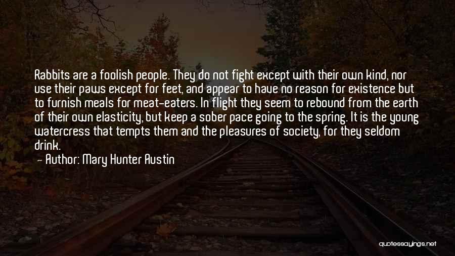 Fighting For No Reason Quotes By Mary Hunter Austin