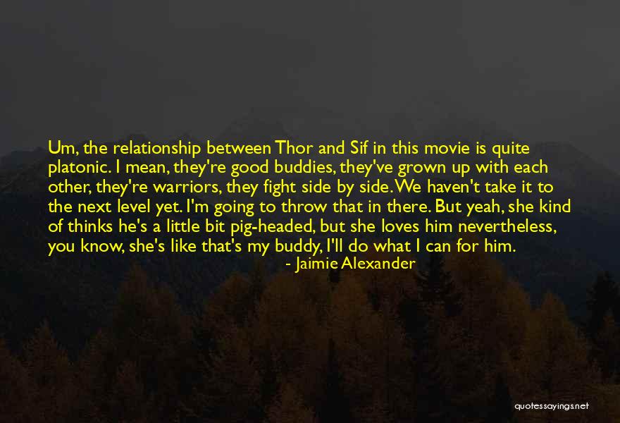 Fighting For Relationship Quotes By Jaimie Alexander