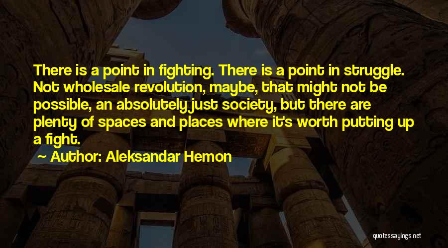 Fighting For Something Worth It Quotes By Aleksandar Hemon