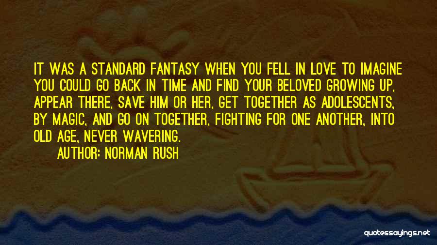 Fighting For You Love Quotes By Norman Rush