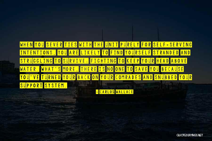 Fighting For You Quotes By Carlos Wallace Fighting For You Quotes By Carlos Wallace