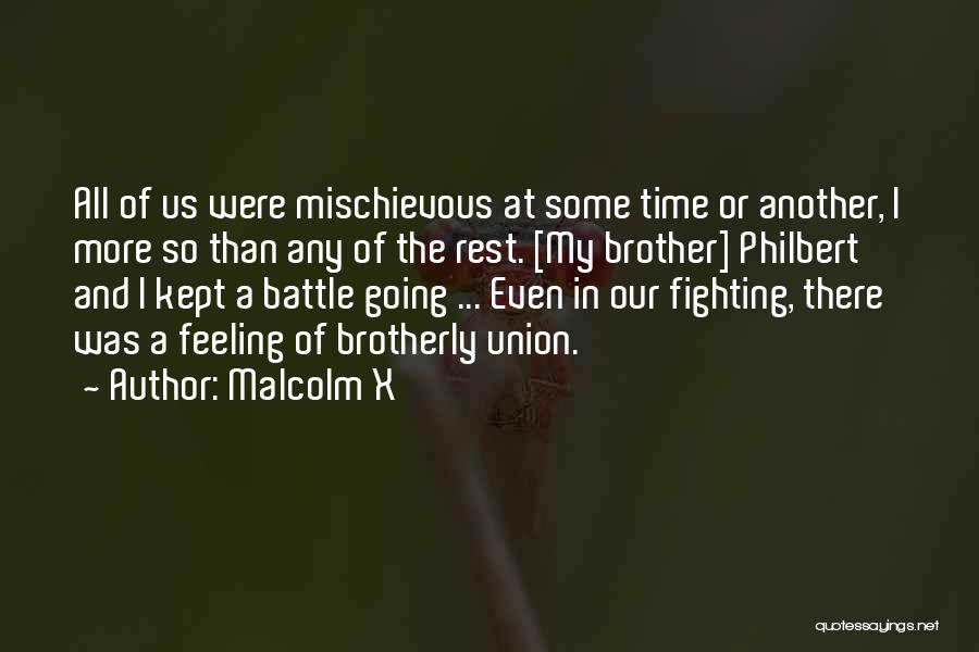 Fighting For Your Brother Quotes By Malcolm X