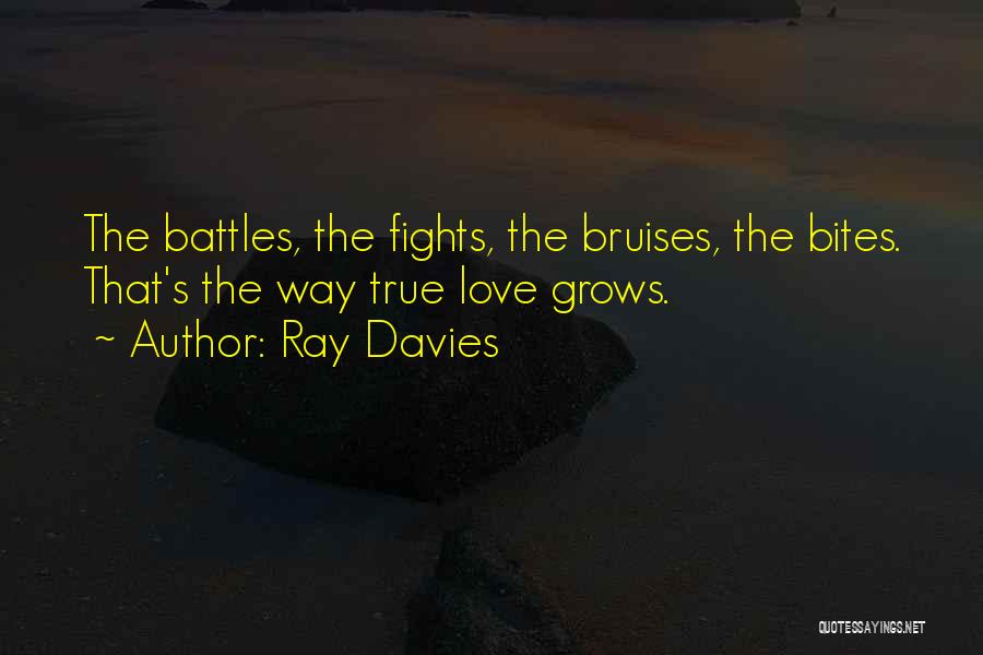 Fighting For Your True Love Quotes By Ray Davies