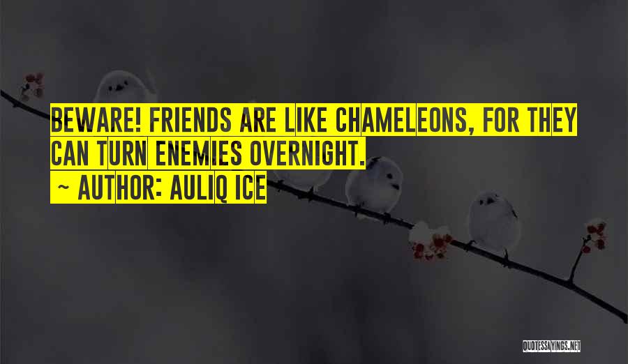 Fighting Friends Quotes By Auliq Ice