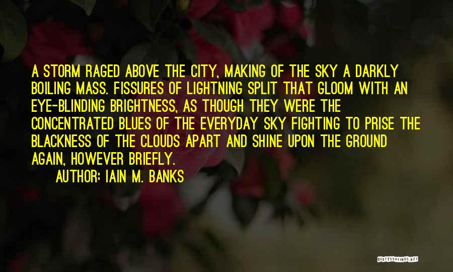 Fighting Ground Quotes By Iain M. Banks