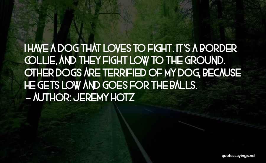 Fighting Ground Quotes By Jeremy Hotz