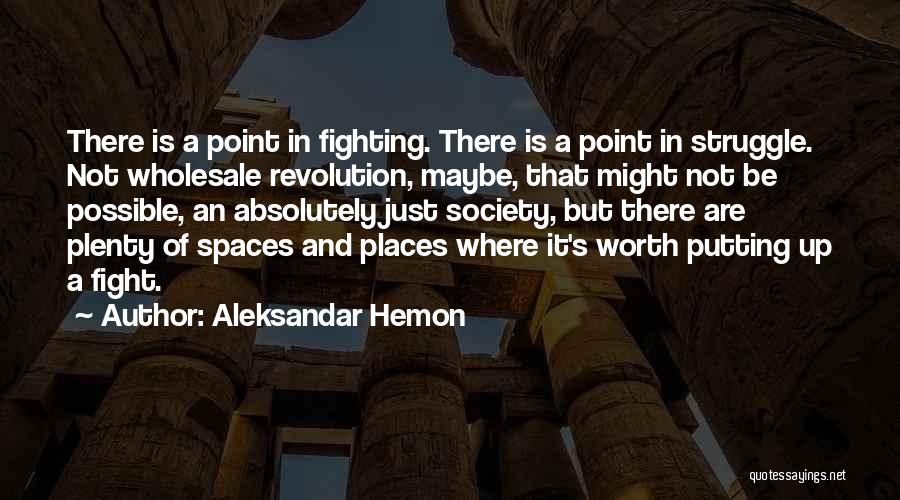 Fighting Is Not Worth It Quotes By Aleksandar Hemon