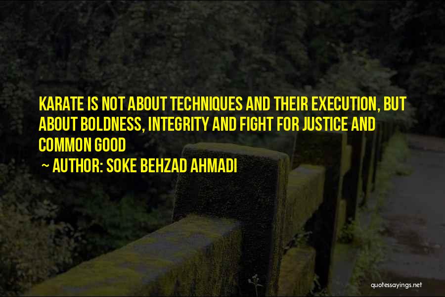 Fighting Spirit Quotes By Soke Behzad Ahmadi