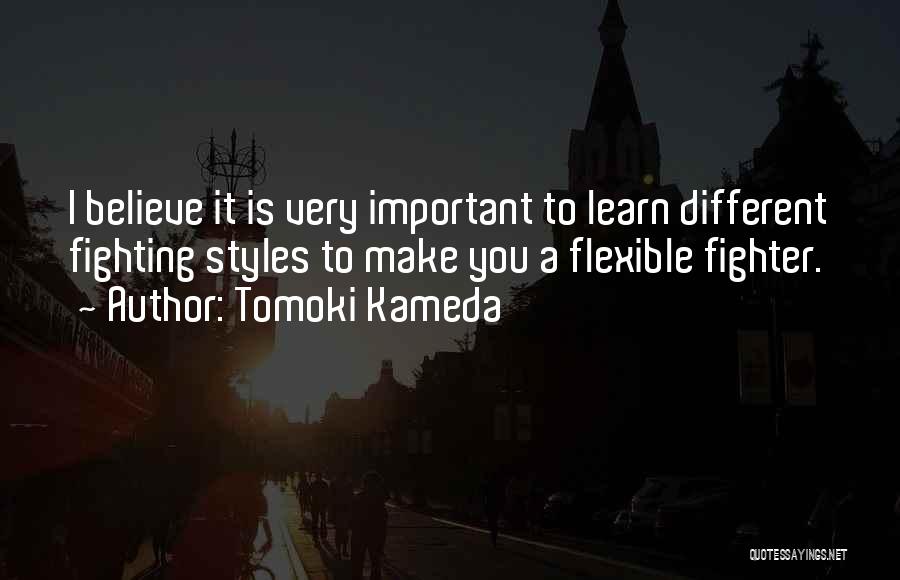 Fighting Styles Quotes By Tomoki Kameda