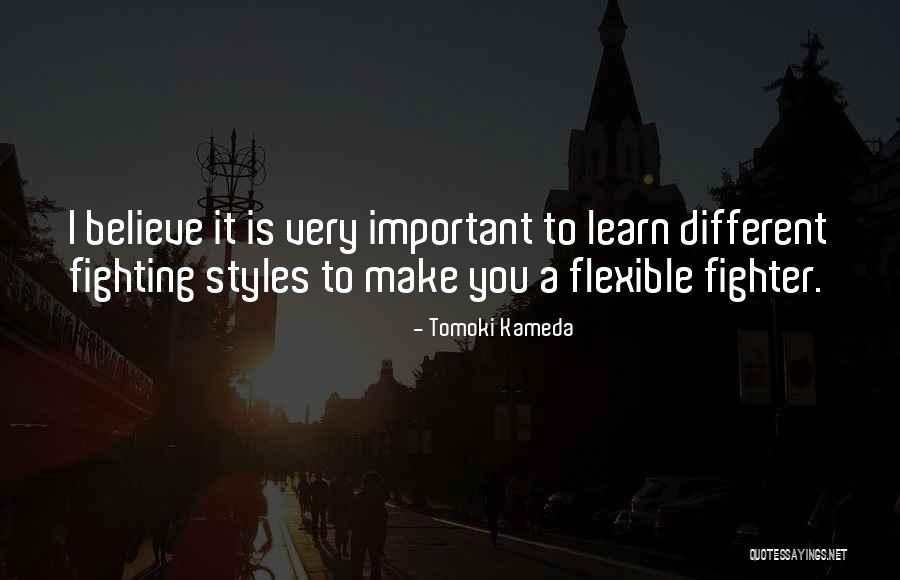 Fighting Styles Quotes By Tomoki Kameda