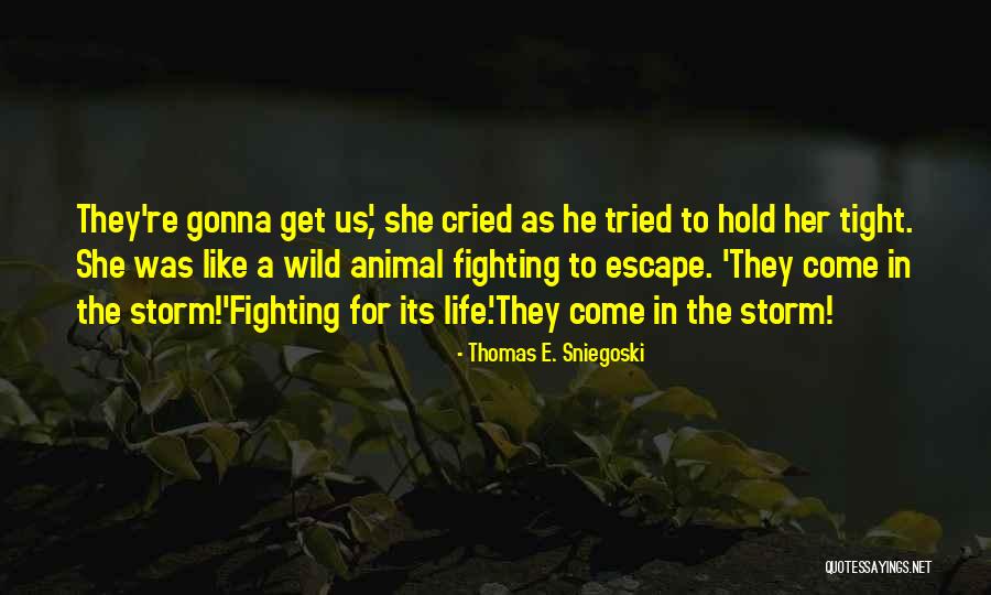 Fighting The Storm Quotes By Thomas E. Sniegoski Fighting The Storm Quotes By Thomas E. Sniegoski