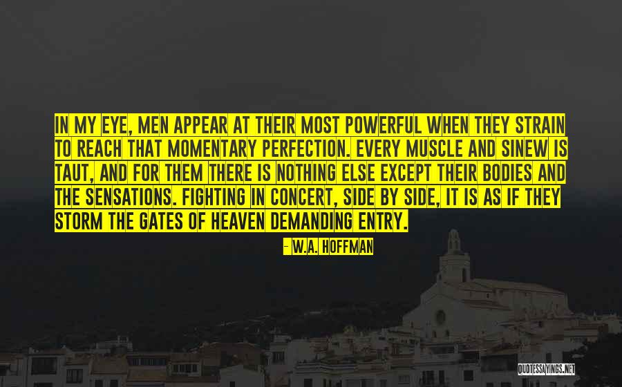 Fighting The Storm Quotes By W.A. Hoffman Fighting The Storm Quotes By W.A. Hoffman