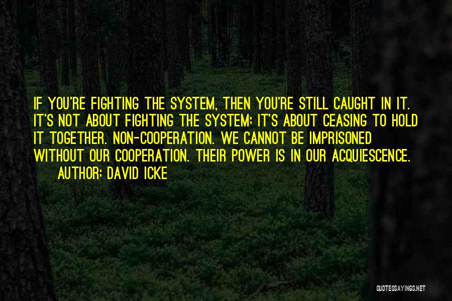 Fighting The System Quotes By David Icke