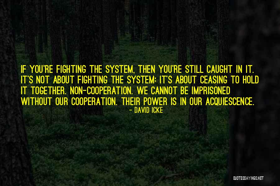 Fighting The System Quotes By David Icke Fighting The System Quotes By David Icke