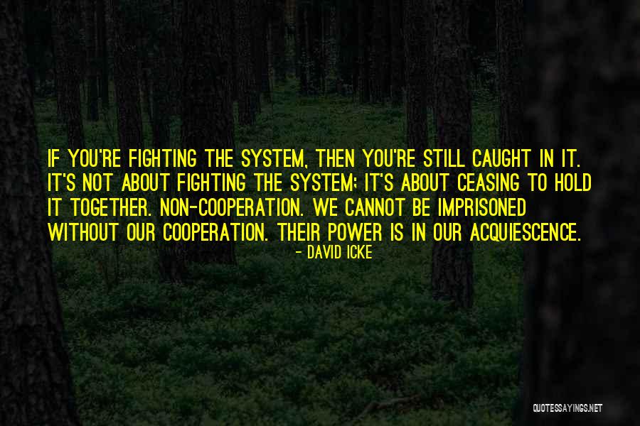 Fighting The System Quotes By David Icke