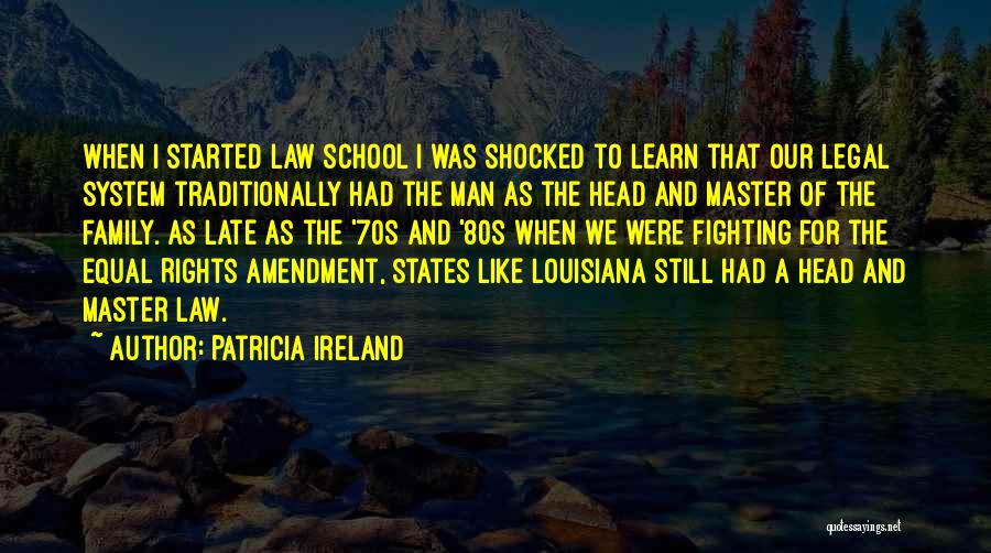 Fighting The System Quotes By Patricia Ireland