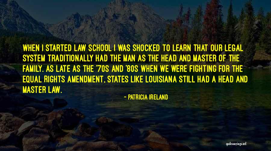 Fighting The System Quotes By Patricia Ireland